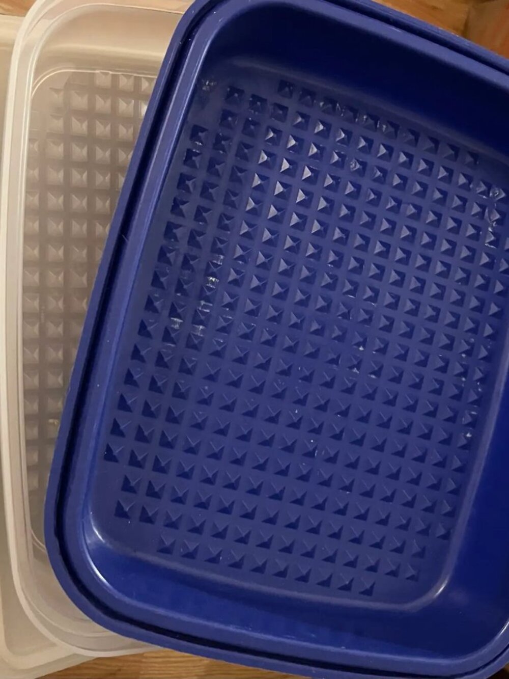 Tupperware Season-Serve Marinating Container